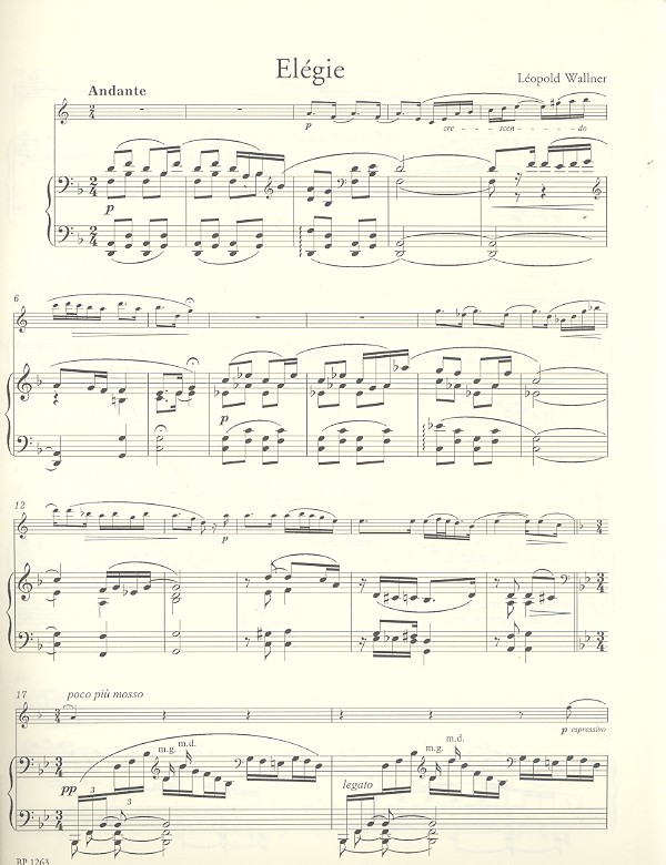 Léopold Wallner - Elegie