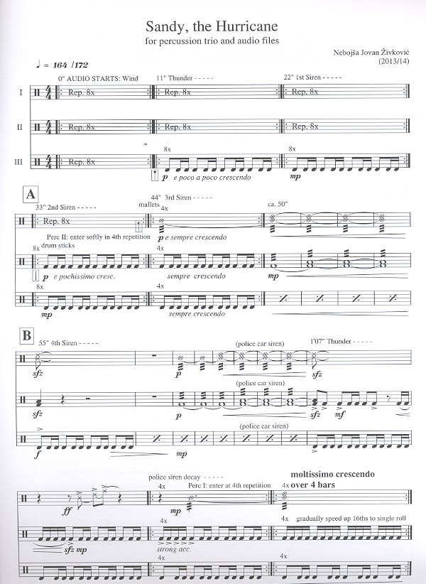 Nebojsa Jovan Zivkovic - Sandy the Hurricane