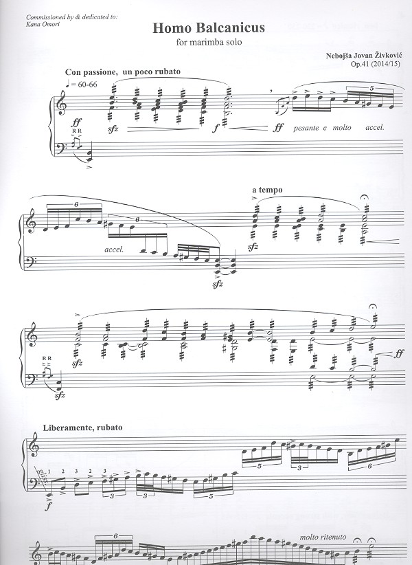 Nebojsa Jovan Zivkovic - Homo balcanicus