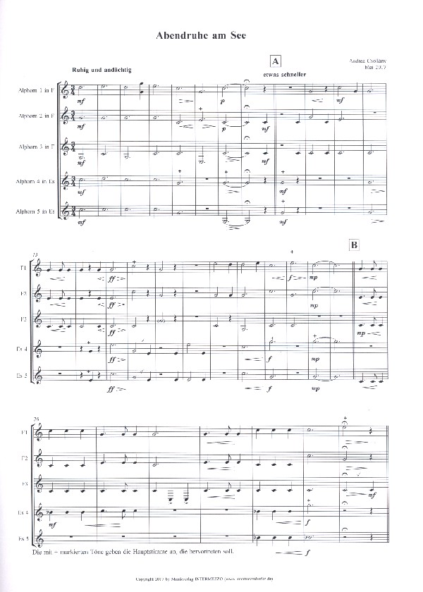 Andrea Csollány - Abendstimmung am See