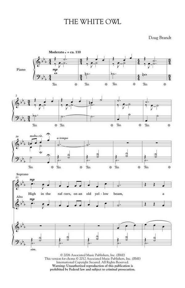 Doug Brandt, The White Owl&nbsp;&nbsp;SATB&nbsp;&nbsp;Chorpartitur
