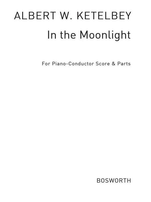  In The Moonlight   for orchestra  piano-conductor score and parts
