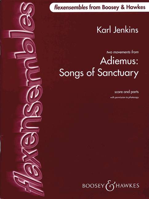 Adiemus - Songs of Sanctuary  für flexibles Ensemble / Schulorchester  Partitur und Stimmen