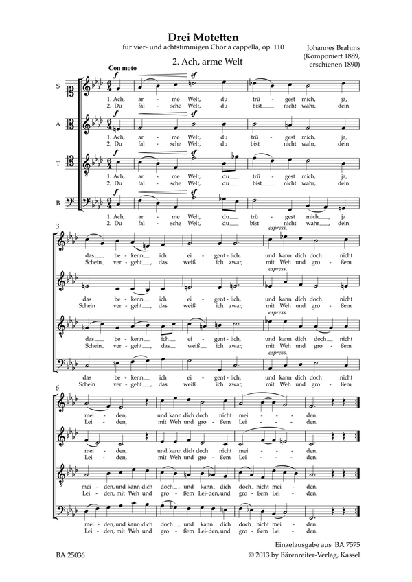Ach, arme Welt op.110,2  für gem Chor (SSAATTBB) a cappella  Chorpartitur