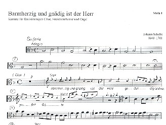 Barmherzig und gnädig ist der Herr  für gem Chor, Streicher und Orgel  Viola 1