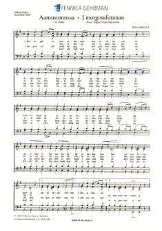 Morgennebel  Kinderchor  