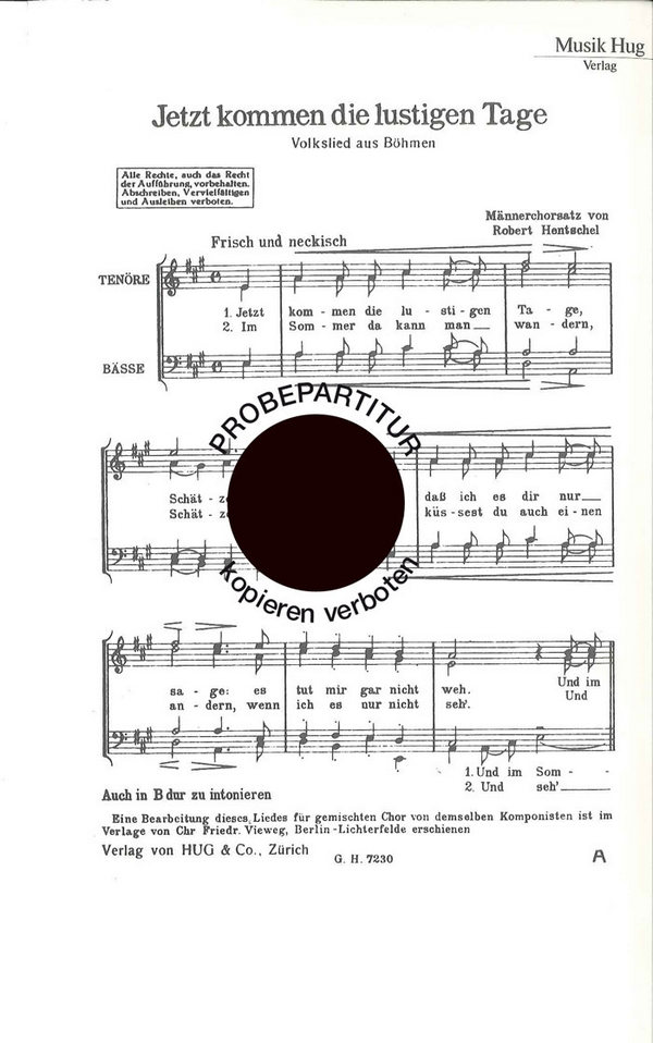 Hentschel, Robert&nbsp;&nbsp;Jetzt kommen die lustigen&nbsp;&nbsp;Männerchor