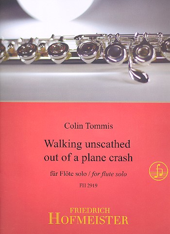 Walking unscathed out of a&nbsp;&nbsp;Plane Crash for flute solo&nbsp;&nbsp;