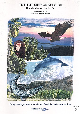 Honk Honk says Uncles Car  for flexible wind ensemble and percussion  score and parts