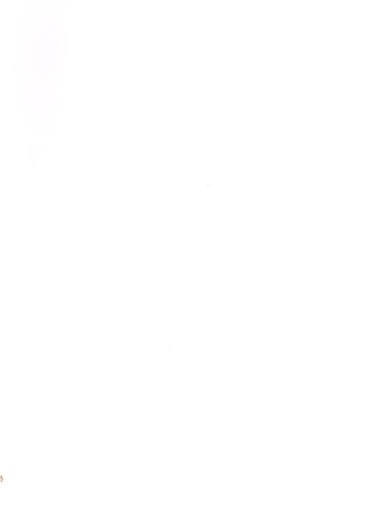 Hodie Christus natus est op.25a&nbsp;&nbsp;für gem Chor und Orchester&nbsp;&nbsp;Violoncello