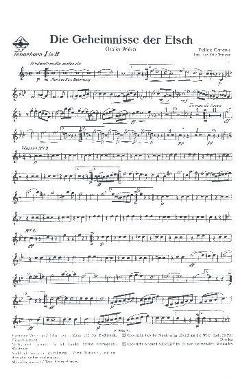 Die Geheimnisse der Etsch&nbsp;&nbsp;für Blasorchester&nbsp;&nbsp;Tenorhorn 1