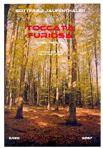 Toccata furiosa&nbsp;&nbsp;für Orgel&nbsp;&nbsp;