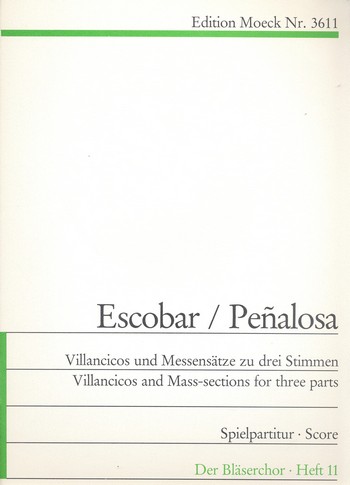 Villancicos und Messensätze
