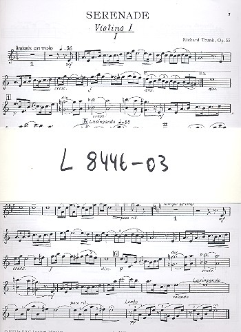 Eine kleine Serenade op.55  für Streichorchester  Stimmenset enthält 3-2-2-2-1