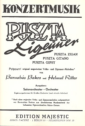 Puszta-Zigeuner: für Salonorchester    
