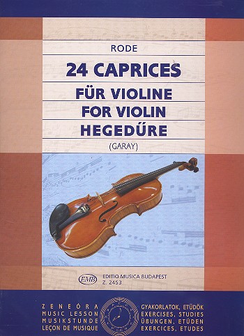 24 Capricen  für Violine  