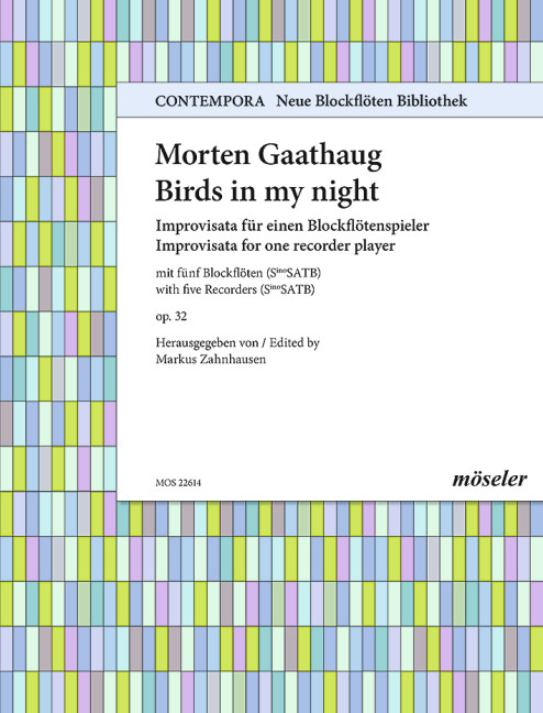 Birds in my Night  für einen Blockflötenspieler  