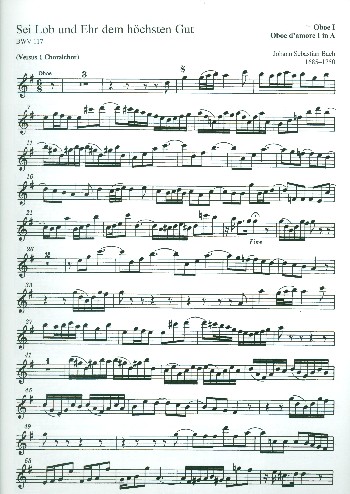 Sei Lob und Ehr dem höchsten Gut&nbsp;&nbsp;Kantate Nr.117 BWV117,  Oboe 1, Oboe d'amore 1&nbsp;&nbsp;Grischkat, Hans, Ed