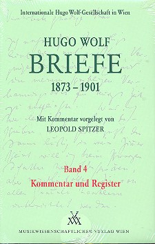 Briefe Band 4 (1873-1901) Kommentar und Register    