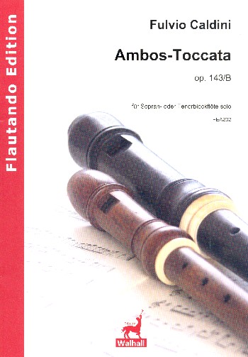 Ambos Toccata op.143b