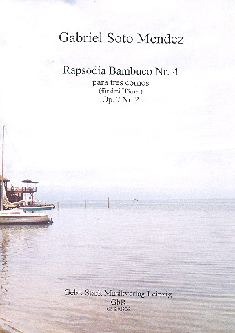 Rapsodia bambuco Nr.4 op.7,2