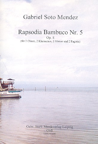 Rapsodia bambuco Nr.5 op.8