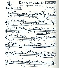 Klarinetten-Muckl  und Hofbräu-Muckl:  für Blasorchester  