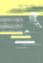 Ansichten eines Weitsichtigen  Buch  