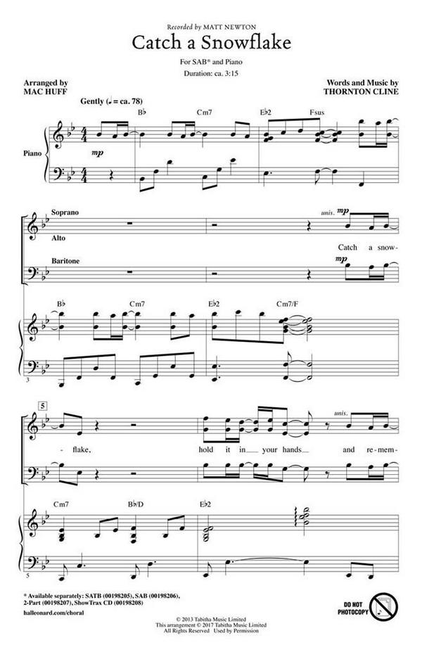 Catch a Snowflake&nbsp;&nbsp;SAB&nbsp;&nbsp;Chorpartitur