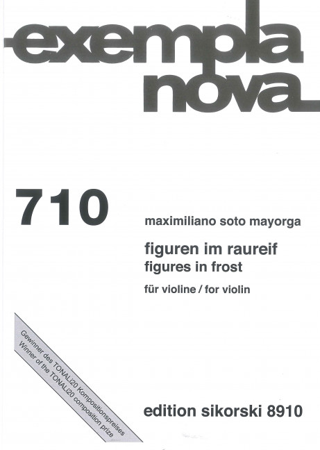 Figuren im Raureif&nbsp;&nbsp;Violine&nbsp;&nbsp;